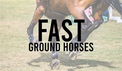 abc horses tomorrow|ABC Guide of Runners .
